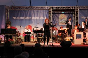 Bild zu GEMCO betreut die Bosch Big Band beim Neckarblühen in Horb