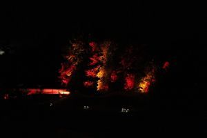 Bild zu Spanische Nacht beim Neckarblühen in Horb