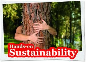 Bild zu „Hands-on Sustainability“: Utopia und SwarmWorks bringen interaktives Nachhaltigkeitstraining  auf den Markt