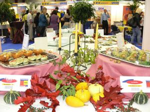 Bild zu Hogana Hessen 2011 wieder in Gießen