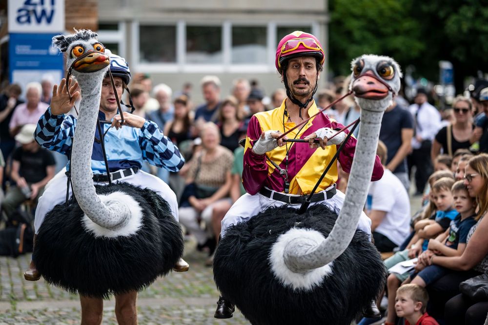 Bild zu Men On Birds – Berittene Unterhaltung