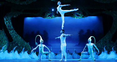Bild zu SWAN LAKE - Die Akrobatiksensation aus China