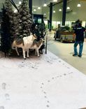 Realistische Winterlandschaften mit FOTOBODEN™